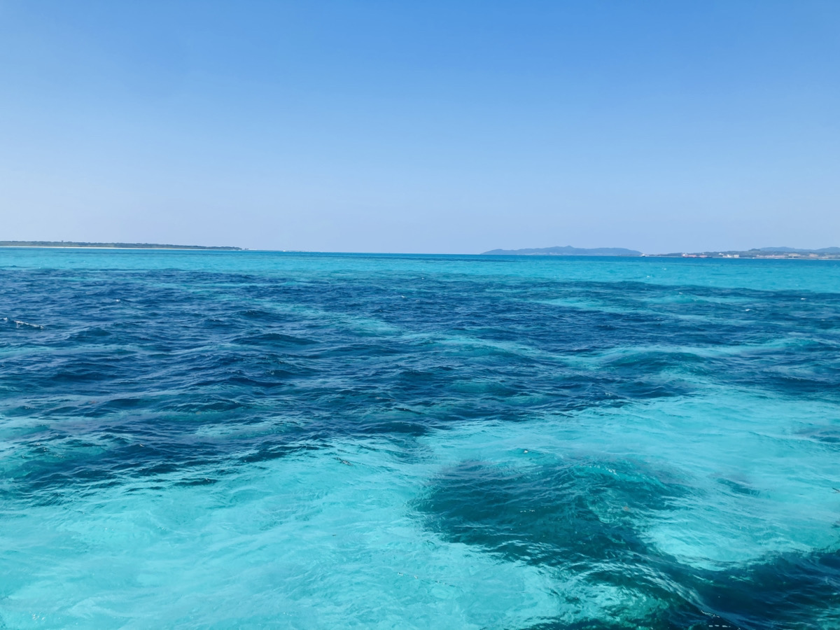 Jブルークレジット認証取得