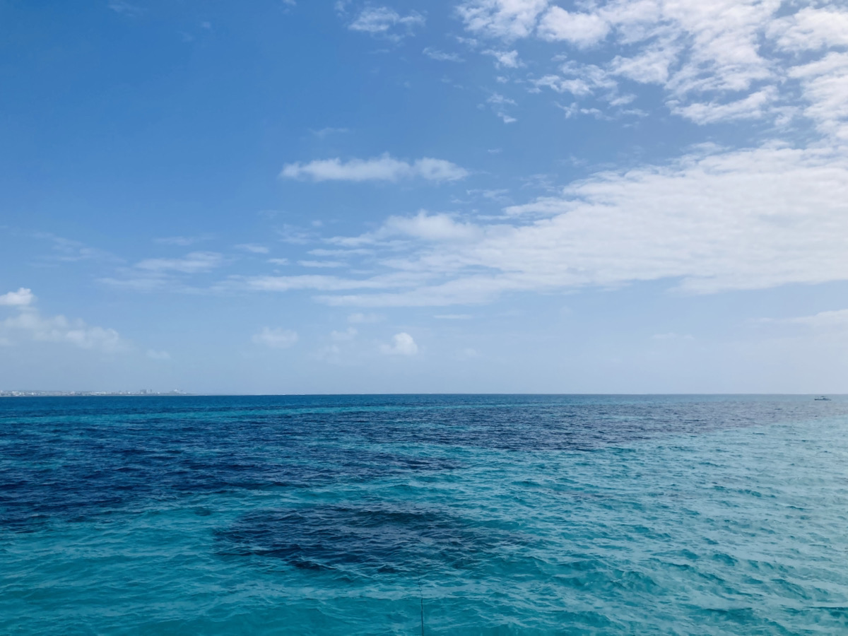 石垣島研修に行ってきました！